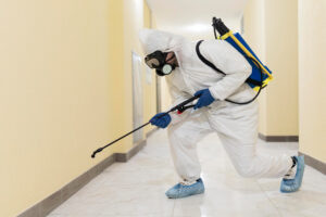 pest control services